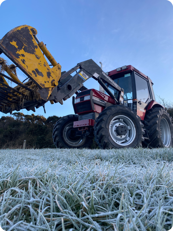 BlurbPic2.png Thumbnail