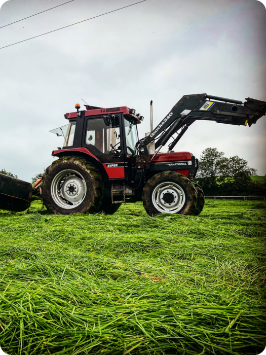 BlurbPic3.png Thumbnail